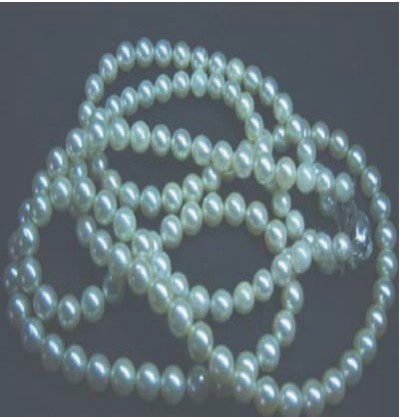 200812308078.jpg